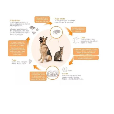 Imagem de combo Anti Pulgas Revolution Gato 2,6 A 7,5 Kg com 5 Pipetas